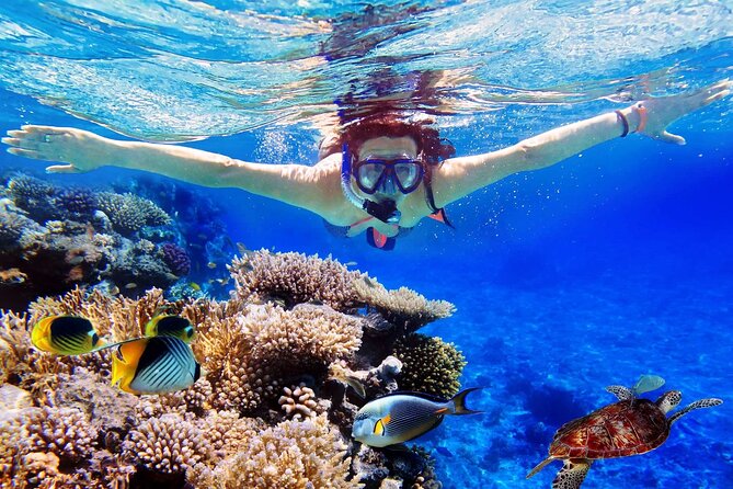 Blue Lagoon & Tanjung Jepun Snorkeling Private Tour - Quick highlights you’ll care about