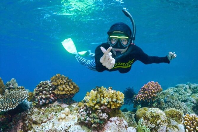 Blue Lagoon & Tanjung Jepun Snorkeling Private Tour - Getting to Padang Bai from Ubud: how the day starts