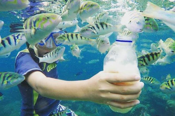 Blue Lagoon & Tanjung Jepun Snorkeling Private Tour - Equipment and comfort details that make or break snorkeling