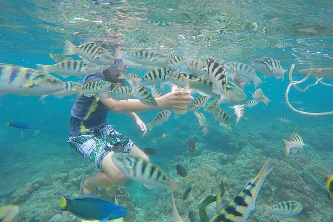 Blue Lagoon & Tanjung Jepun Snorkeling Private Tour - Who should book this tour (and who might not)