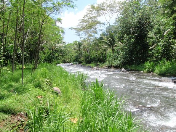 BMW Bali Rafting + Flying Fox at Telaga Waja River (LESS STAIRS) - Key highlights worth planning around