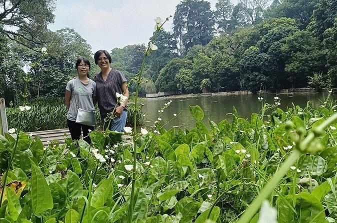 Bogor Botanical Garden, City and Miniature Park in Heritage - Suryakencana Street and Lawang Suryakencana: Chinatown energy in Bogor