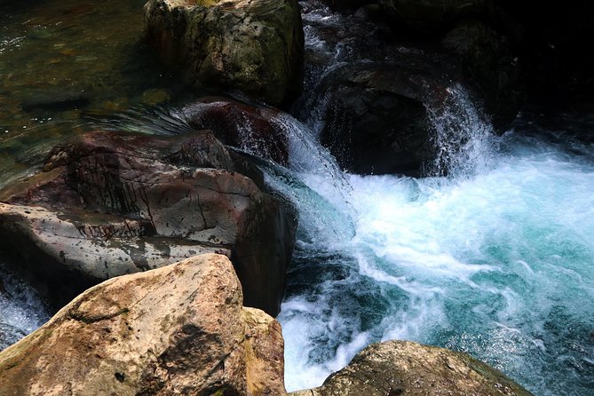Bogor Botanical Garden & Rainforest Trekking to Hidden Waterfall - Kebun Raya Bogor: A 1817 Botanical Garden Built for Tropical Scale
