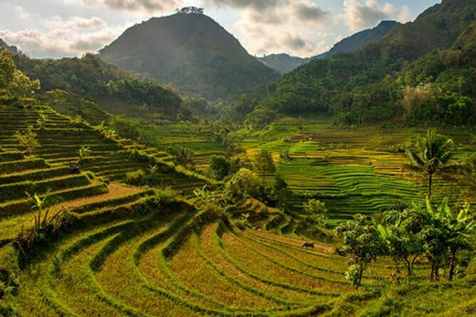 Borobudur Climb Up and Selogriyo Temple Rice Terraces Trekking - Practical tips before you go (so the day feels easy)