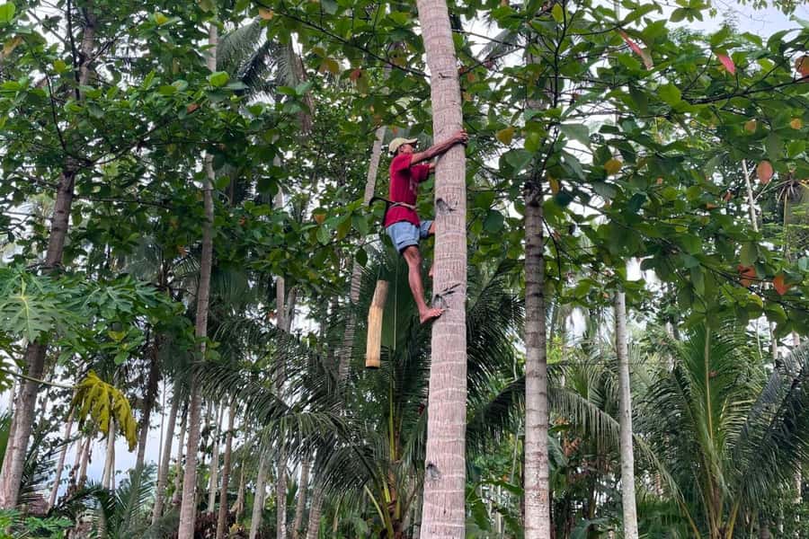 Borobudur: Cycling Tour and Explore Java Villages - Why this Borobudur cycling day feels different from just seeing temples