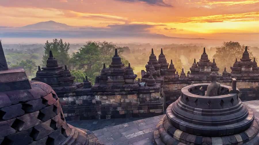 Borobudur &Prambanan Temple Tour Guaranteed Climb to the top - Price and what you’ll actually pay: the $20 tour rate vs entry fees