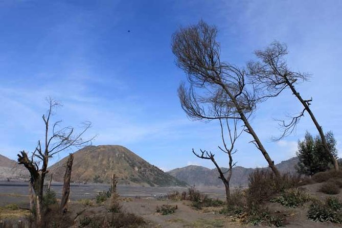 Bromo panorama tour to avoid the crowds - start Malang // 1 day tour - Gunung Penanjakan Viewpoint: Your First Crater-Rim Moment
