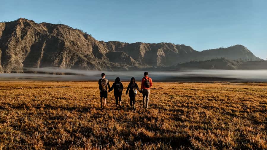 Bromo Sunrise & Madakaripura Waterfall Private 1 Day Tour - Key Highlights You’ll Feel Immediately