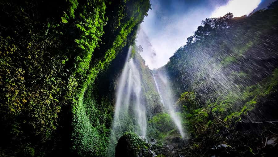 Bromo Sunrise & Madakaripura Waterfall Private 1 Day Tour - King Kong Hills Viewpoint: Coffee, Stories, and That First Light