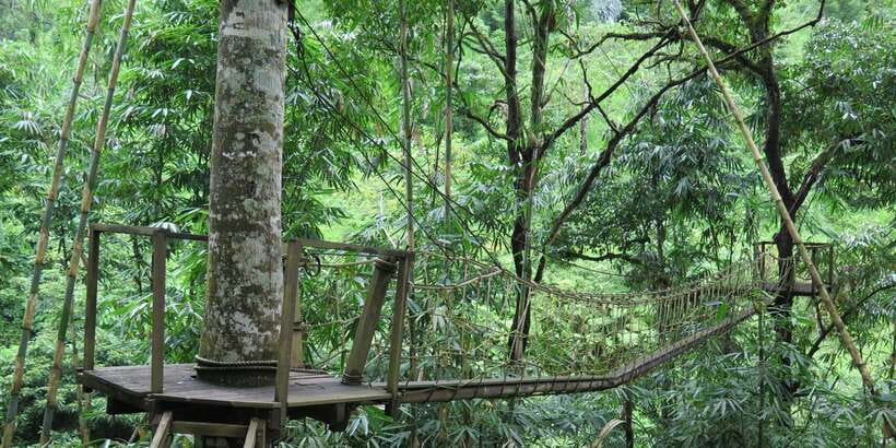 Buggy Discovery and Canyon Tubing Adventure - Rural Bali on a 4x4: Mud Tracks, Rice Fields, and Quiet Village Life