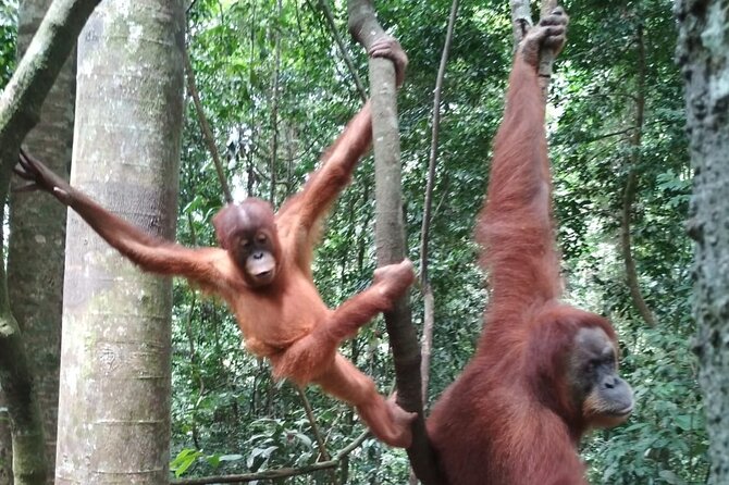 Bukit lawang 2 Day 1 Night with camping - Food and pacing: what to expect from the meals and schedule