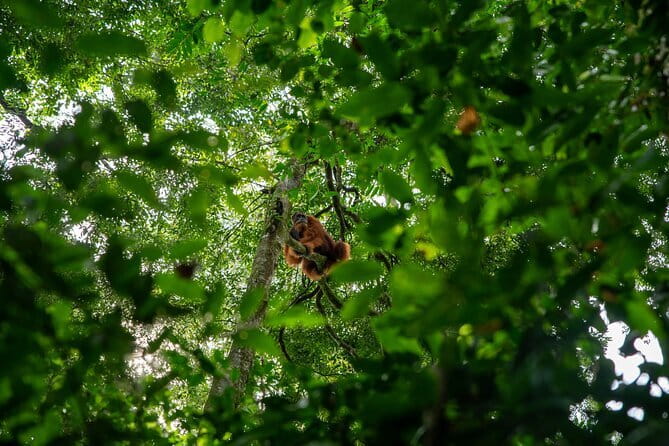 Bukit Lawang Berastagi 4 Days 3 Nights Volcano & Jungle Trekking - Packing Checklist: What You Should Bring