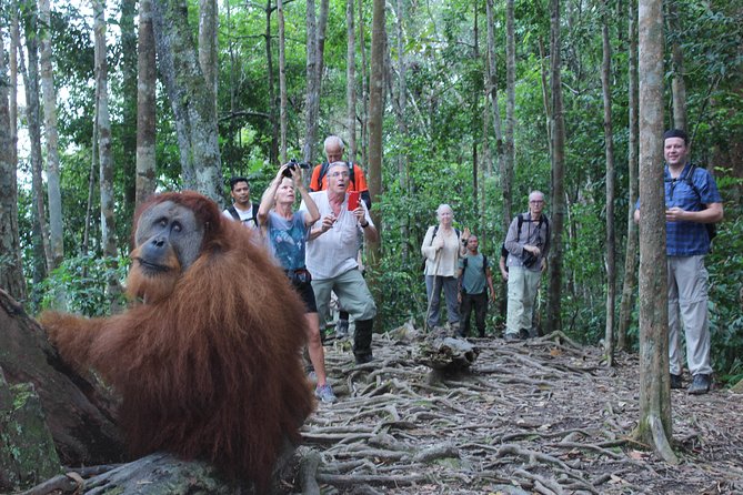 Bukit Lawang Full Day Jungle Trek - The Lunch Stop That Keeps You Happy (and Through-Hiking)