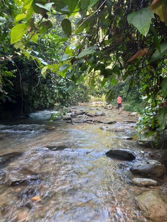 Bukit Lawang: Jungle Trekking and Rafting Day Trip - Lunch and tropical fruits: fuel for a full-day jungle hit