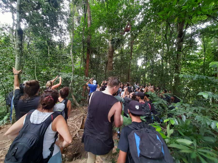 Bukit Lawang: Jungle Trekking and Rafting Day Trip - FAQ