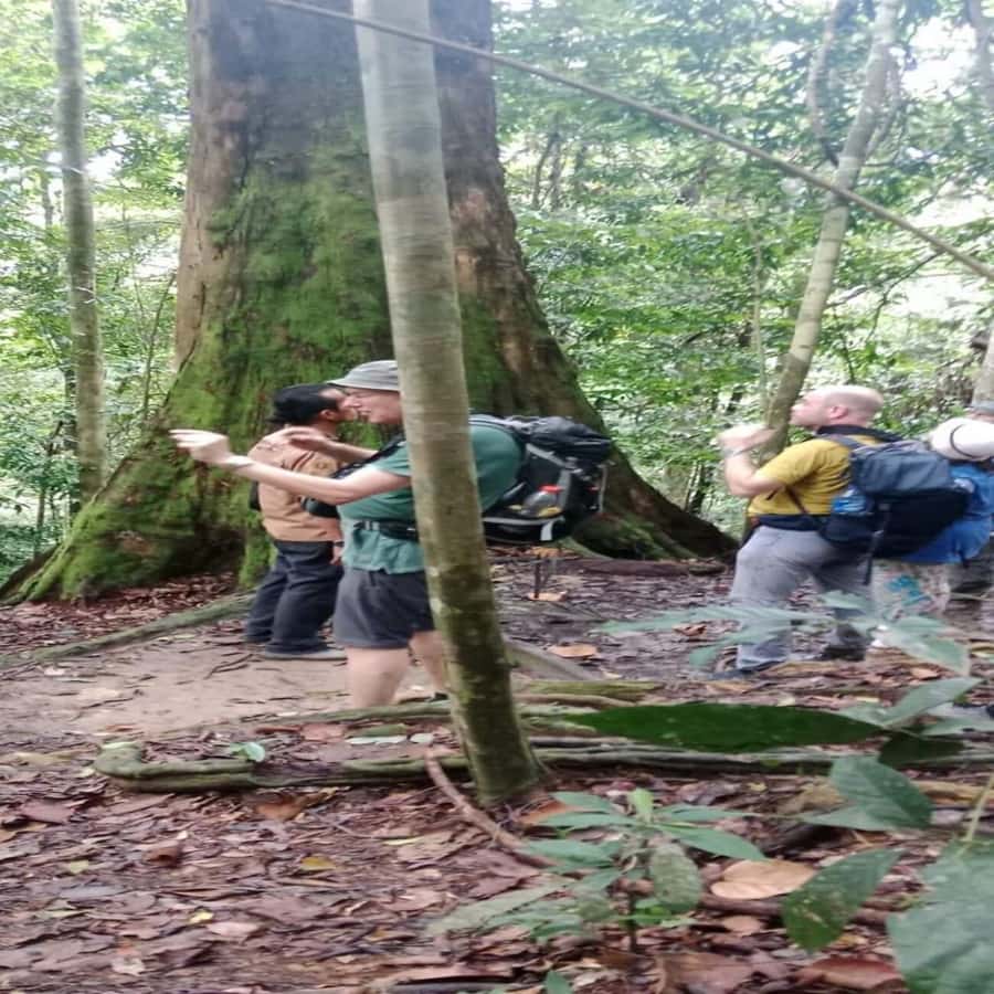 Bukit Lawang: Orangutan Tour & Wonderful Jungle View - Where Bukit Lawang Fits in Sumatra’s Big Picture