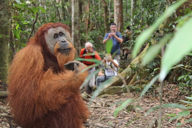 Bukit lawang tour 3days-2 night jungle trekking including rafting - Day 1: Gunung Leuser National Park Starts at 9:00 am and Runs 5–6 Hours