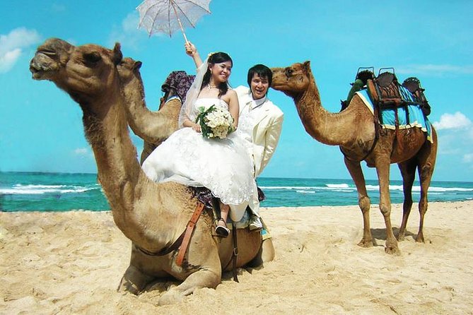 Camel Safari 30 minutes In White Sand Beach - Key things to know before you go