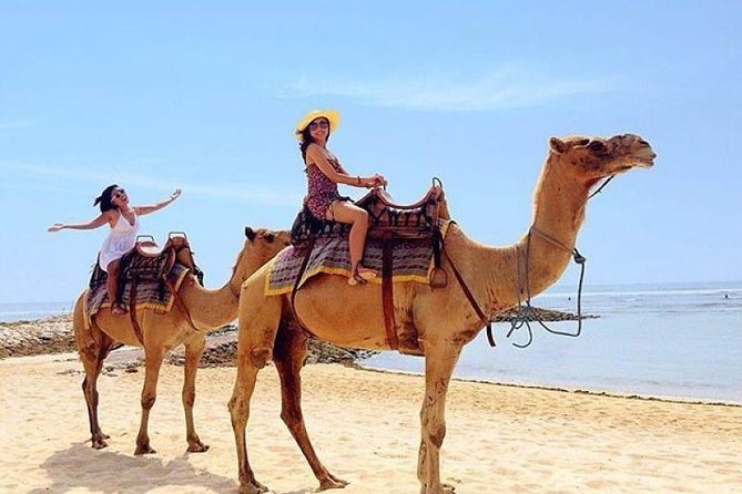 Camel Safari 30 minutes In White Sand Beach - Why Sawangan White Sand and Camels Works So Well