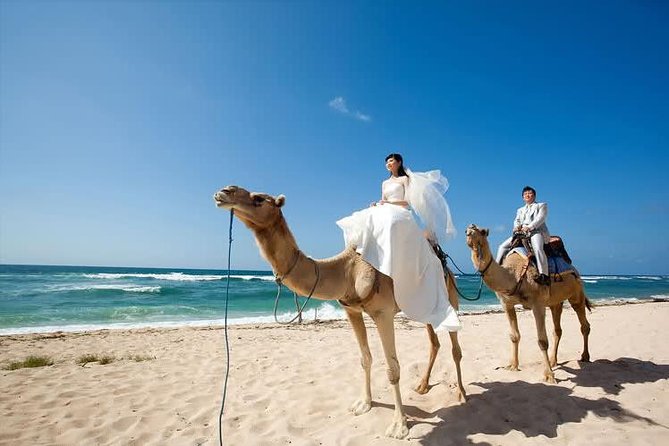 Camel Safari 30 minutes In White Sand Beach - Weather, Dates, and Realistic Expectations