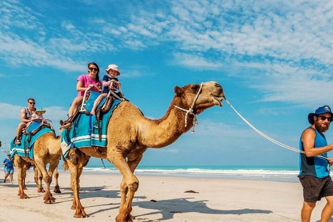 Camel Safari 30 minutes In White Sand Beach - What the English Driver Actually Adds to Your Day