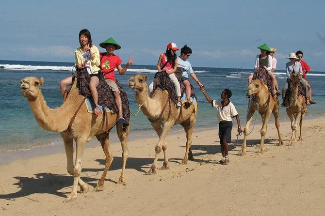 Camel Safari 30 minutes In White Sand Beach - Getting There From South Bali: The Private Transfer Advantage