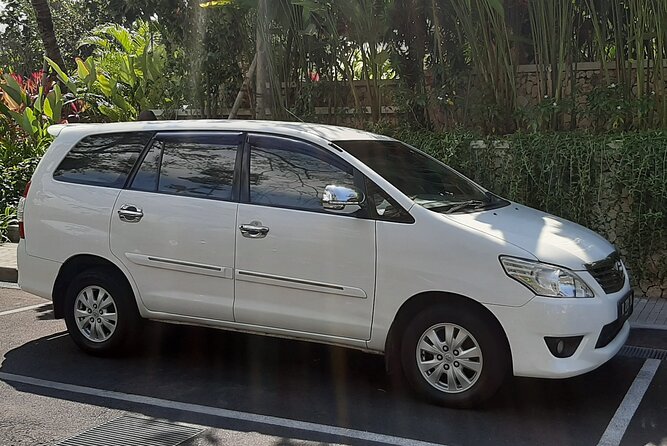 Candidasa Private Car with English Speaking Driver - Sacred Monkey Forest Sanctuary: great viewing, but keep your guard up