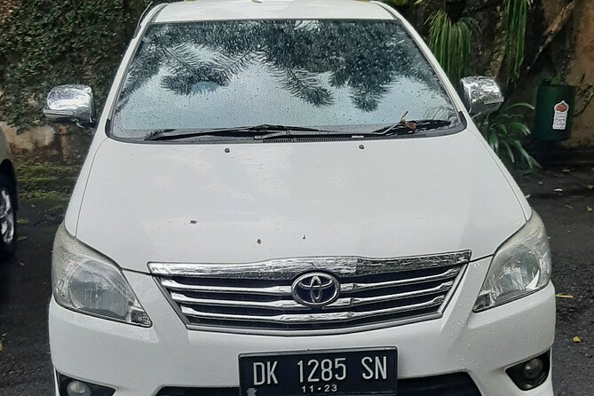 Candidasa Private Car with English Speaking Driver - Tegalalang Rice Terrace and the swing moment