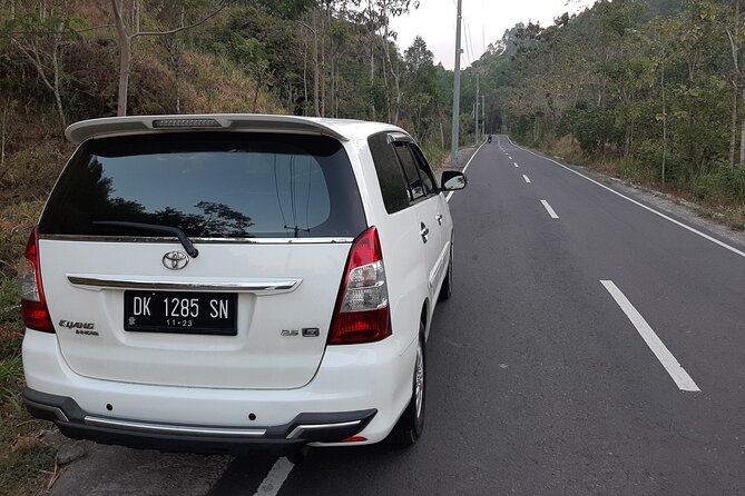 Candidasa Private Car with English Speaking Driver - Tegenungan Waterfall: a 25-meter drop and your first cooling stop