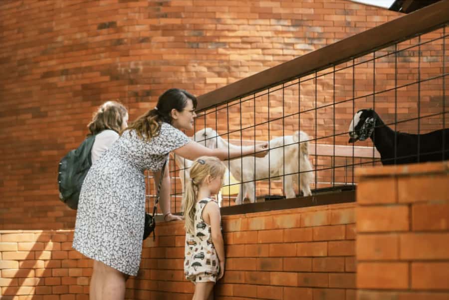 Canggu: Entry Ticket to Mai Main Indoor Playground - Key things to know before you go