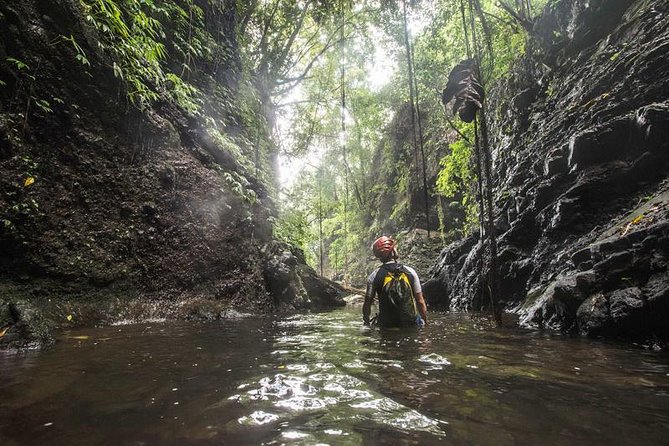 Canyoning Bali : Anahata CANYON (Adventure, discovery, nature) - Why Anahata Canyoning in Ubud Feels Like Real Rope Work