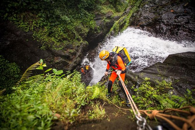 Canyoning Bali : Anahata CANYON (Adventure, discovery, nature) - What You’re Really Paying for: Price Value at $350