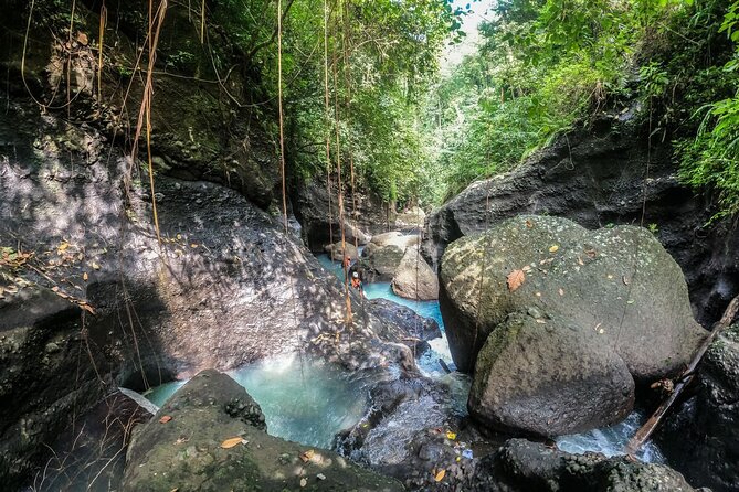 Canyoning Bali, Blue Gorge Canyon (Adventure, discovery, nature) - What you’ll do in the canyon: rappels, jumps, slides, and pool time