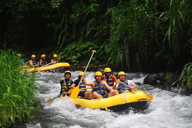 Cave Tubing Adventure in Ubud - Optional Upgrade: Adding Ubud Jungle Swing After Tubing