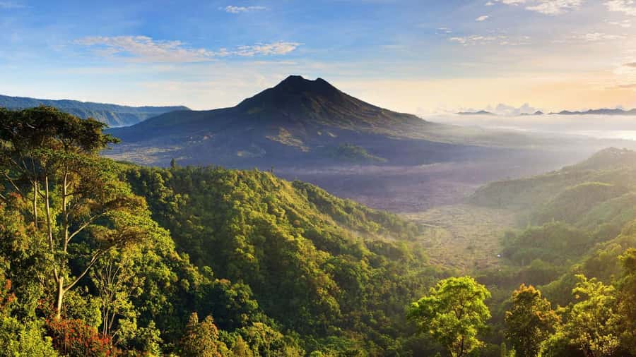 Central Bali: Ubud Village, Rice Terrace, and Kintamani Tour - Key Highlights You’ll Actually Feel During the Day
