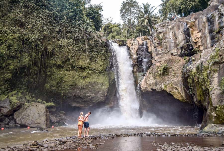 Central Bali: Ubud Village, Rice Terrace, and Kintamani Tour - Pickup, WhatsApp, and the Simple Logistics That Save You Stress