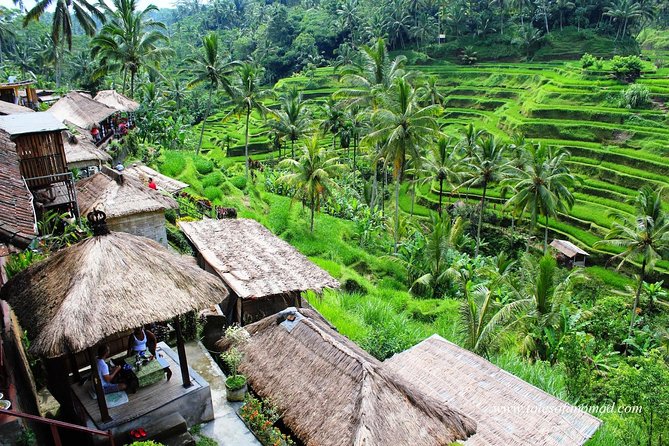 Charter Standard Vehicle with Driver at Bali- 5 Hours Usage - Getting Picked Up in Bali Without the Awkward Timing Drama