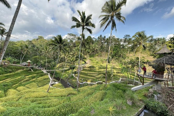 coconut wine and coffee safary tour - What to Bring (So the Walk Feels Easy)