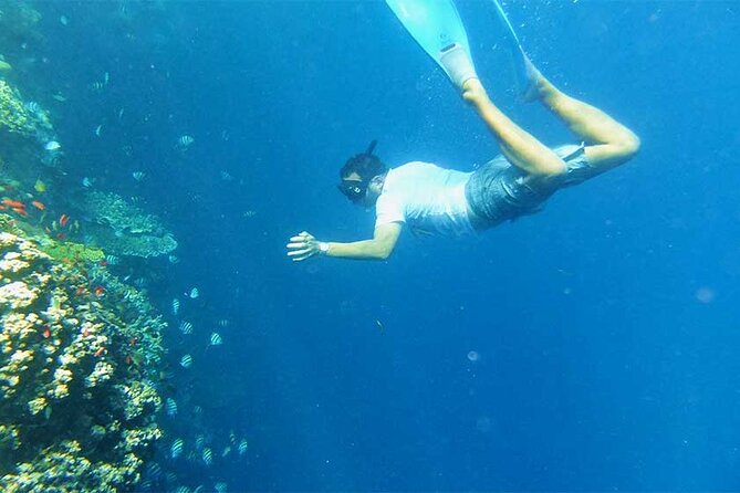 Combination Tour: Ayung river rafting With Blue Lagoon Snorkeling - Key Highlights You’ll Care About