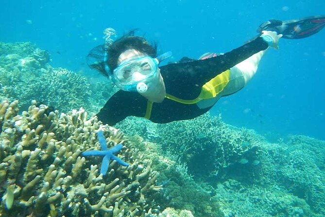 Combination Tour: Ayung river rafting With Blue Lagoon Snorkeling - Pickup and the 10-Hour Rhythm From Ubud/South Bali
