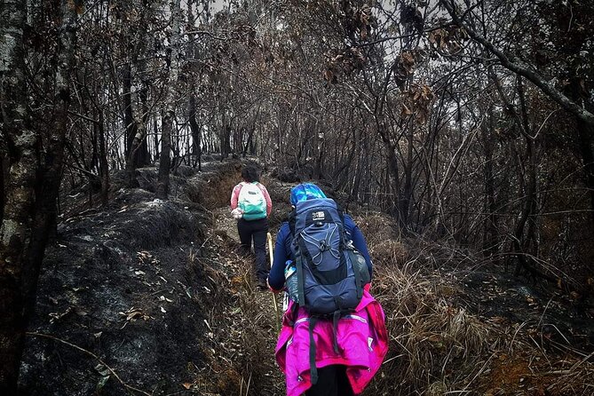 Conquer Mount Rinjani Second Summit: A 2-Day, Lombok-Indonesia - What’s included (and what you’ll need to plan around)