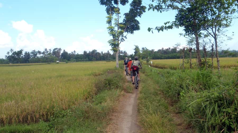Countryside Bike Ride to Golong Village and Lingsar Temple - Key highlights to clock before you go