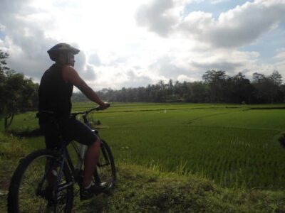 Countryside Bike Ride to Golong Village and Lingsar Temple - Price and what your $70 actually buys