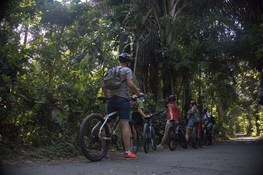 Countryside Bike Ride to Golong Village and Lingsar Temple - Ending at Lingsar Temple: where the story lands