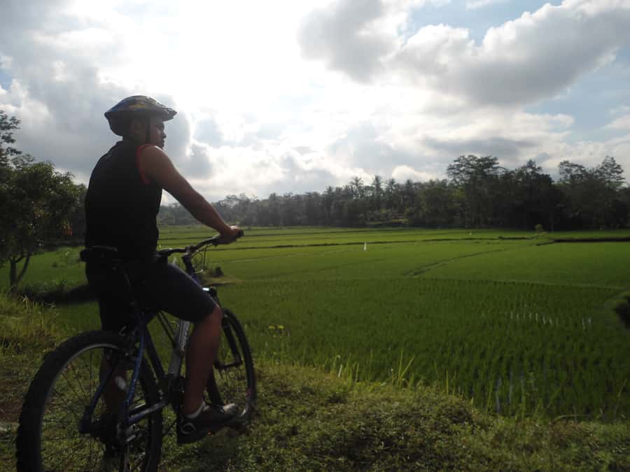 Countryside Bike Ride to Golong Village and Lingsar Temple - Price and what your $70 actually buys
