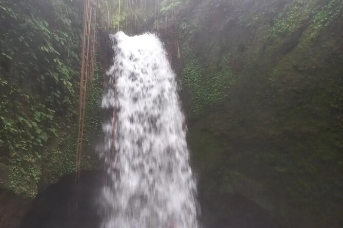 CRETYA Ubud infinity Pool + Hidden Water fall + Water Temple Tour - Manuaba Waterfall: Getting Wet in a More Local Setting