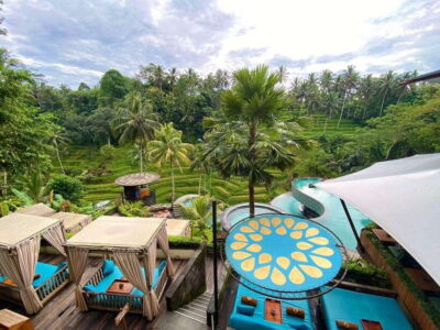 Cretya Ubud, Rice Terrace, Temple & Waterfall Day Tour - Price and value: what $32 gets you