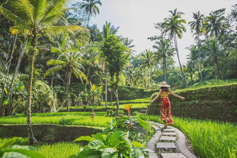 Cretya Ubud, Rice Terrace, Temple & Waterfall Day Tour - Stop 4: Goa Raja Waterfall guided time (refreshing, not rushed)