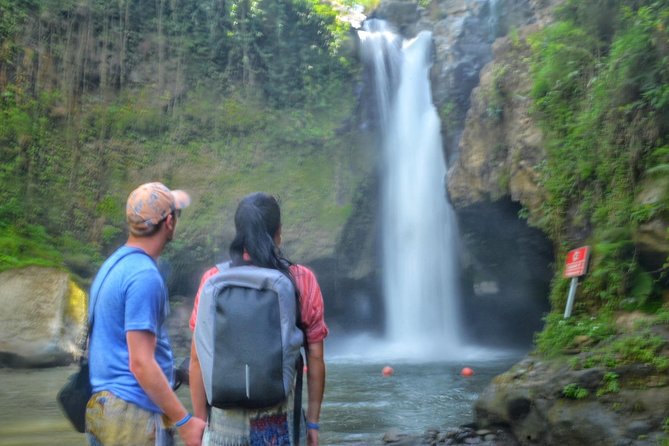 Cretya Ubud Tours - Getting Around: Private Driver, Air-Conditioned Comfort, and Your Pace