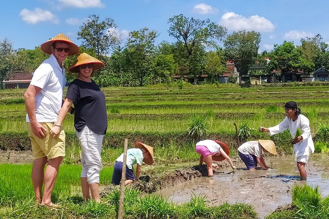 Cycling Tour in Yogyakarta with Lunch 3-Hour - Price and What You’re Really Paying For
